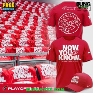 Indiana Fever Now You Know 2025 Playoffs T-Shirt